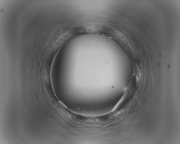 X0000067890317200604201316