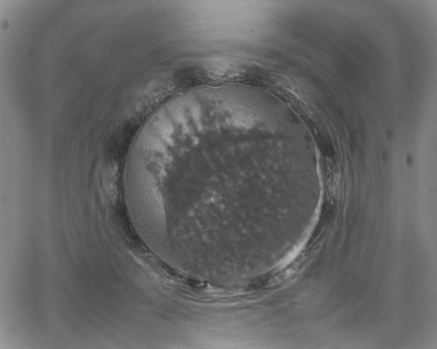 X0000067890319200604201316