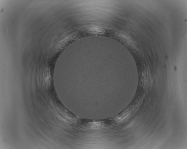 X0000067890320200604201316