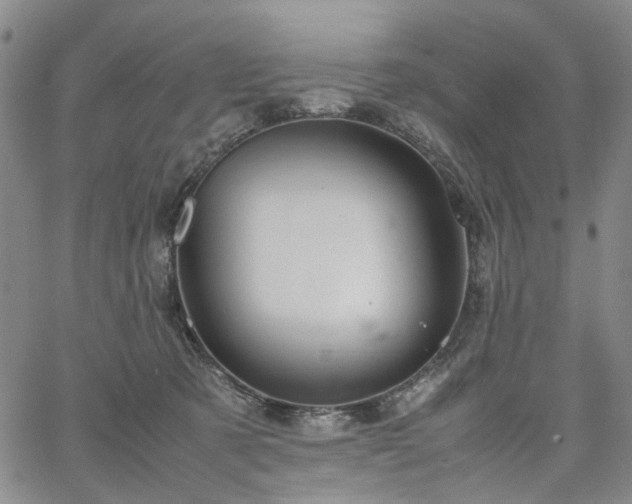 X0000067890321200604201316