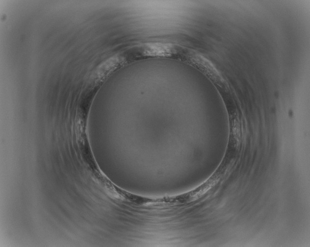 X0000067890322200604201316