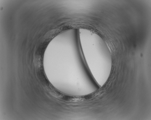 X0000067890323200604201316