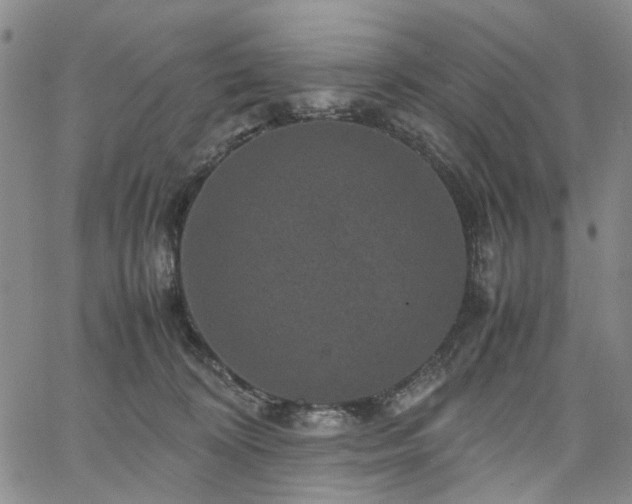 X0000067890324200604201316