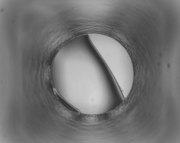 X0000067890325200604201316