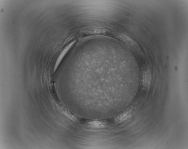 X0000067890326200604201316