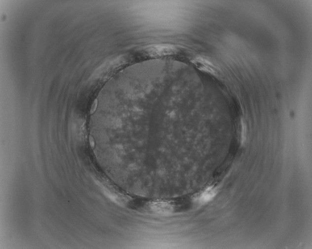 X0000067890327200604201316