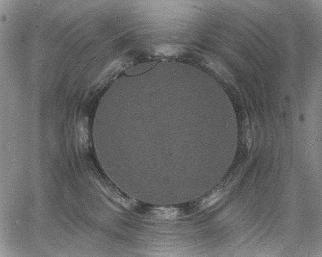 X0000067890328200604201315