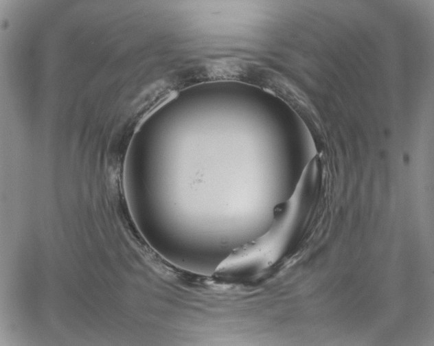 X0000067890329200604201315