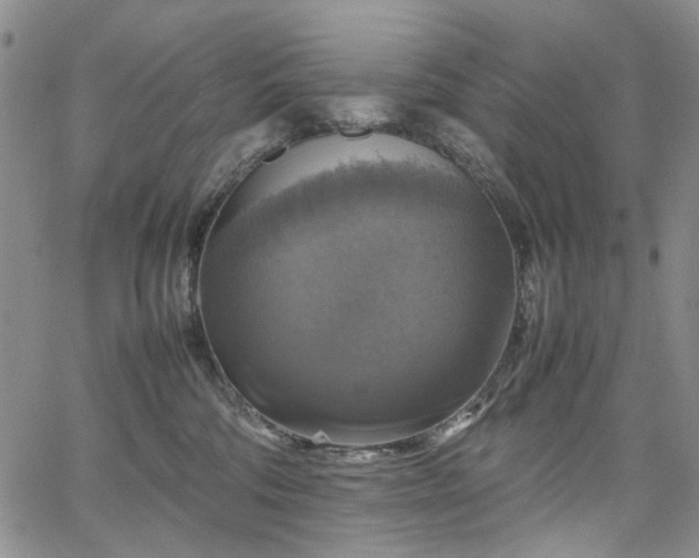 X0000067890330200604201315