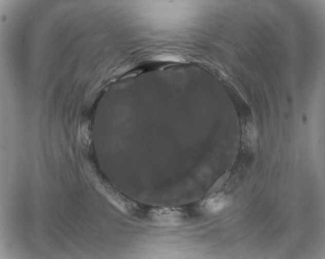 X0000067890331200604201315