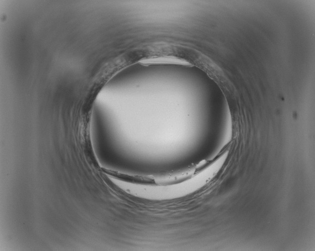 X0000067890333200604201315