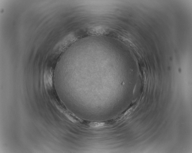 X0000067890334200604201315