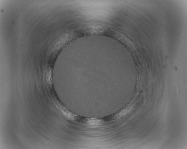 X0000067890336200604201315