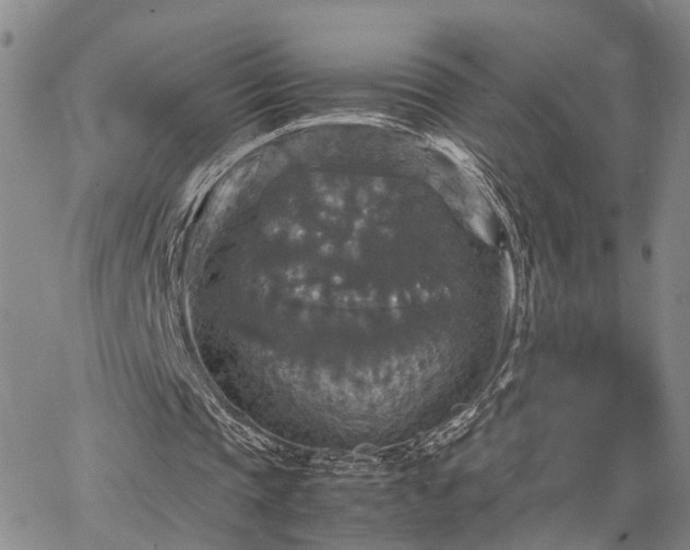 X0000067890337200604201315