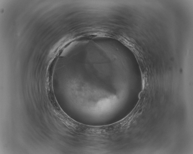 X0000067890339200604201315