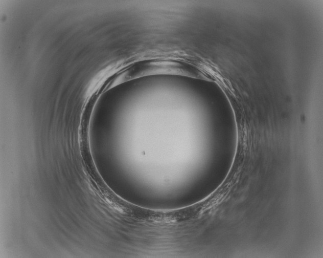 X0000067890340200604201315