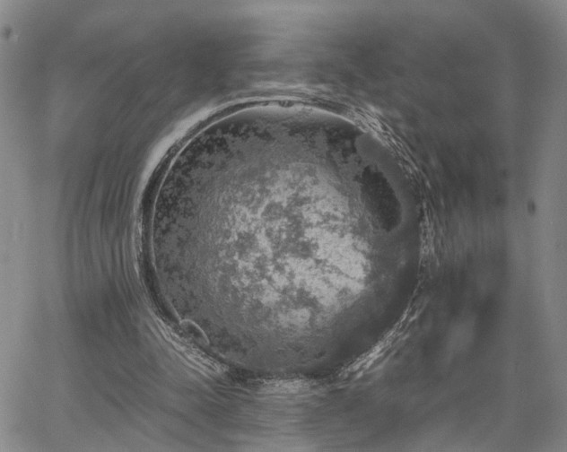 X0000067890342200604201315