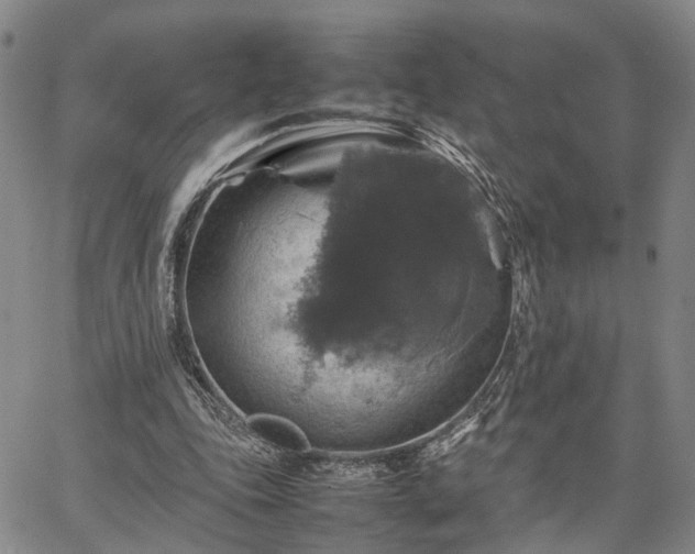 X0000067890343200604201315