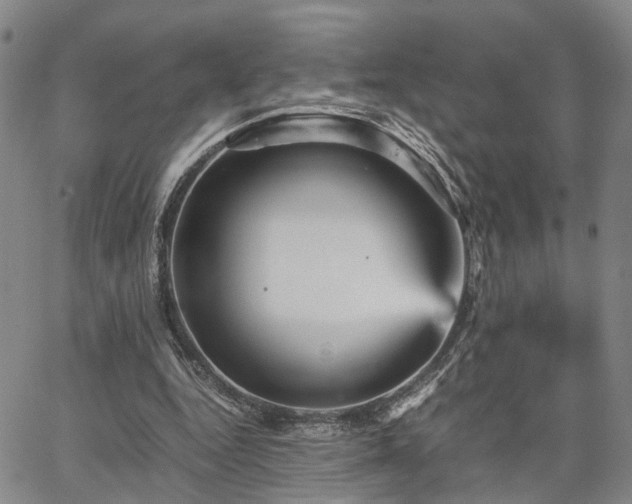 X0000067890344200604201315