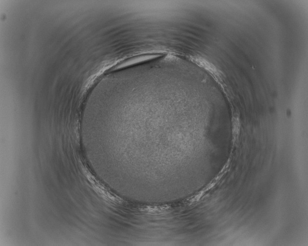 X0000067890345200604201315