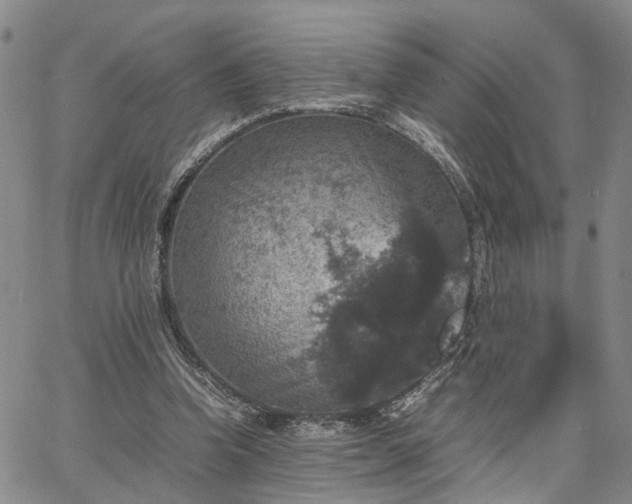 X0000067890346200604201315