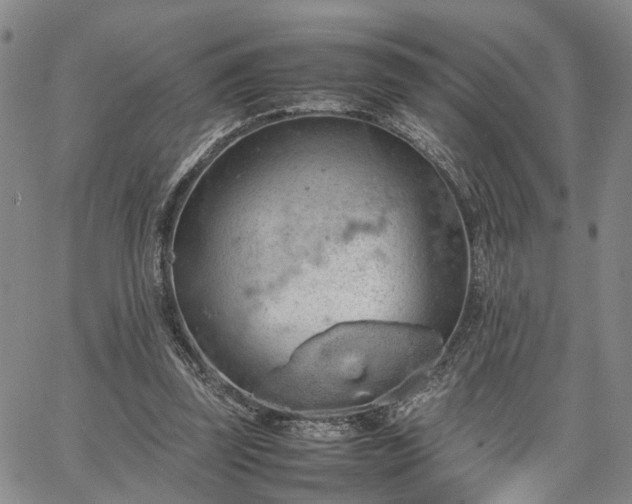 X0000067890347200604201315