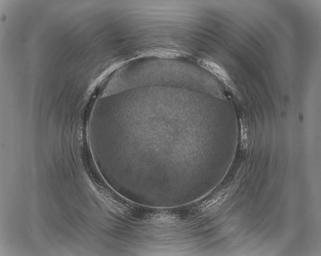 X0000067890348200604201315