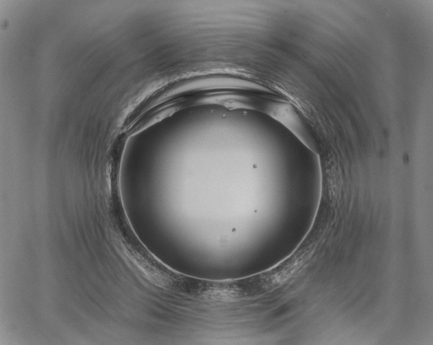 X0000067890350200604201315