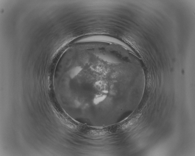 X0000067890351200604201315