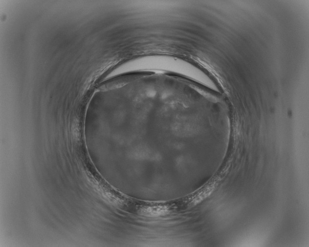 X0000067890353200604201315