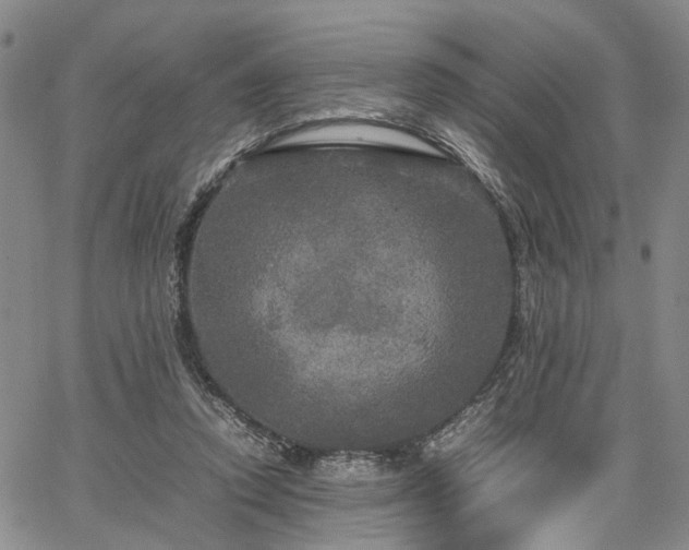 X0000067890354200604201315