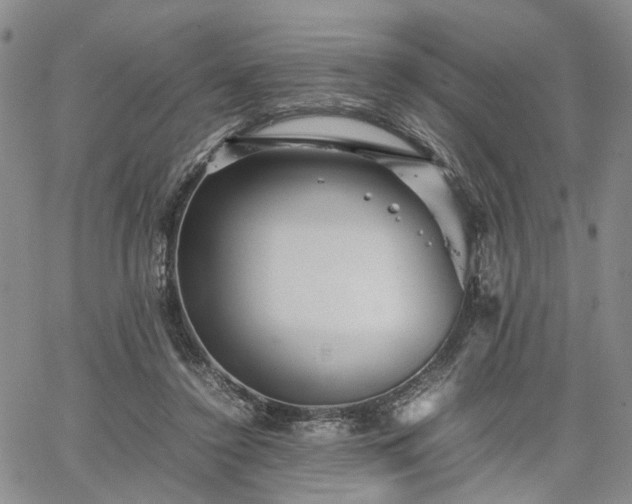 X0000067890356200604201315