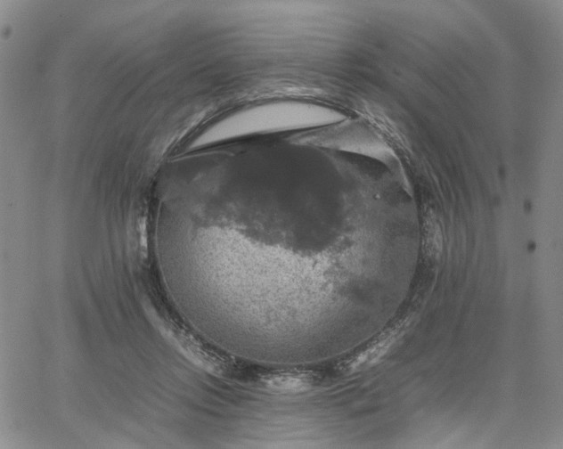 X0000067890358200604201315