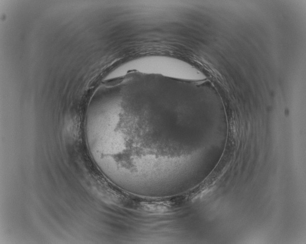 X0000067890359200604201315