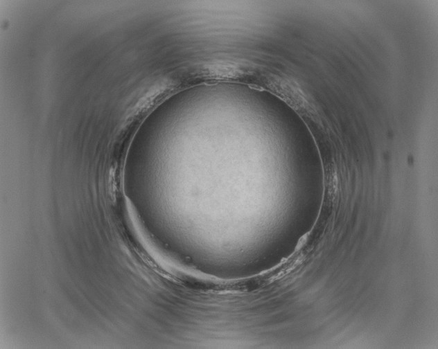 X0000067890360200604201315