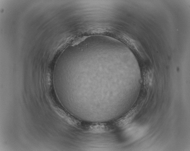 X0000067890362200604201315