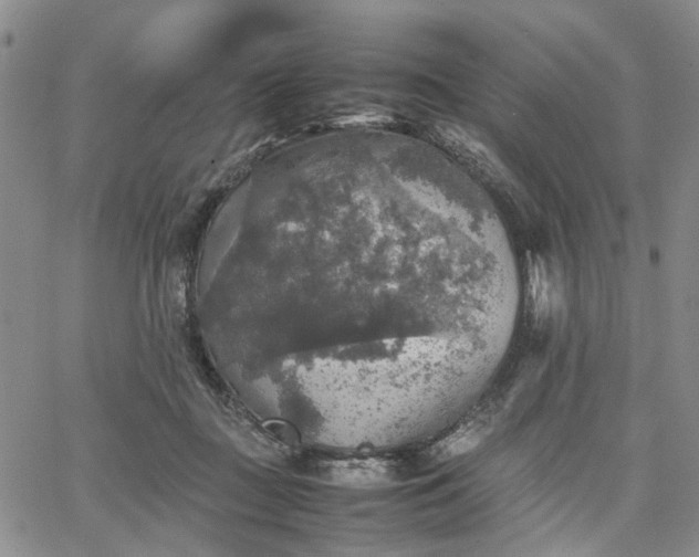 X0000067890363200604201315