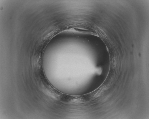 X0000067890364200604201315