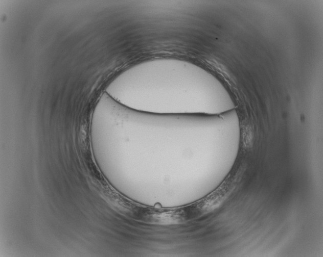 X0000067890365200604201315