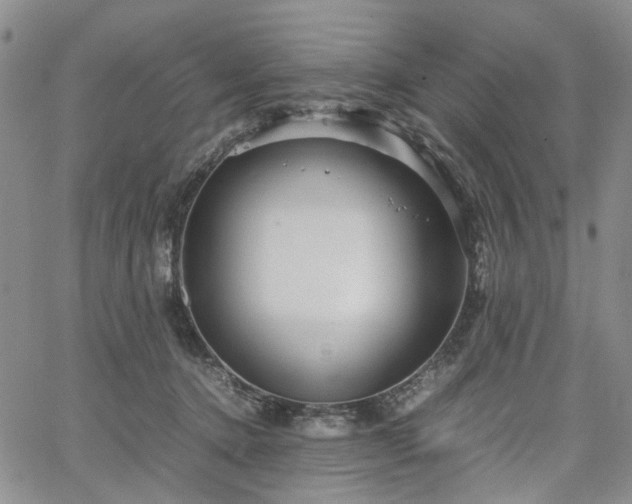 X0000067890368200604201315