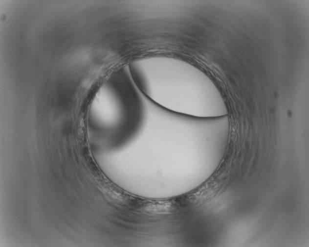 X0000067890369200604201315