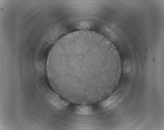 X0000067890370200604201315