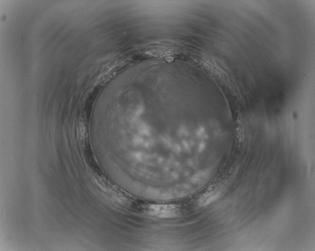 X0000067890371200604201315