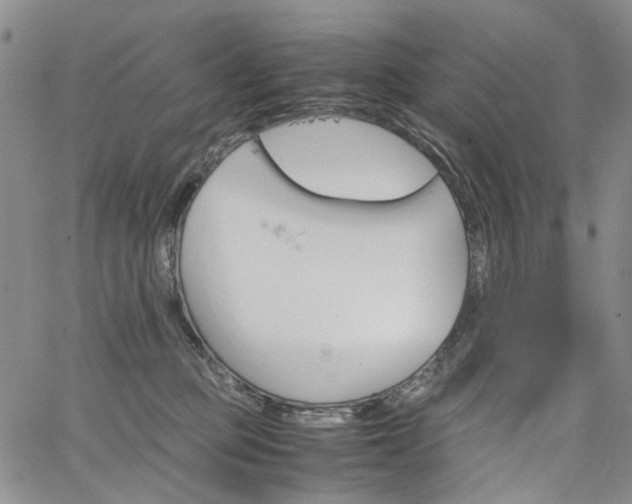 X0000067890373200604201315