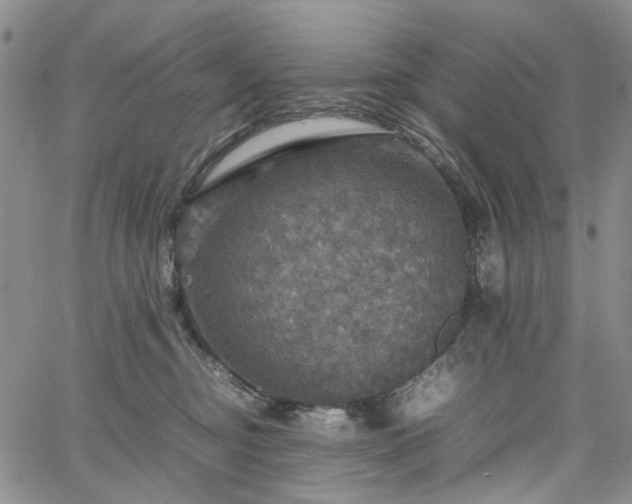 X0000067890374200604201315