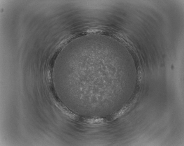 X0000067890375200604201315