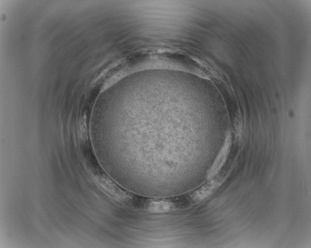 X0000067890376200604201315