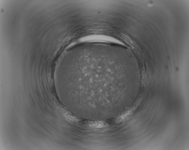 X0000067890377200604201315