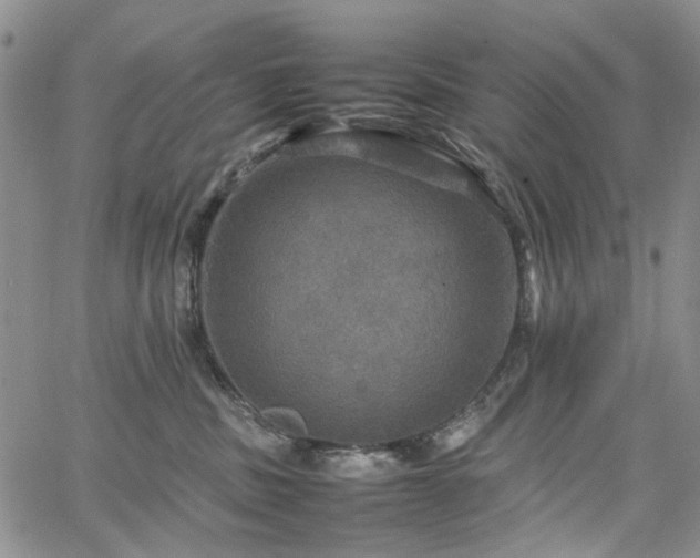 X0000067890379200604201315