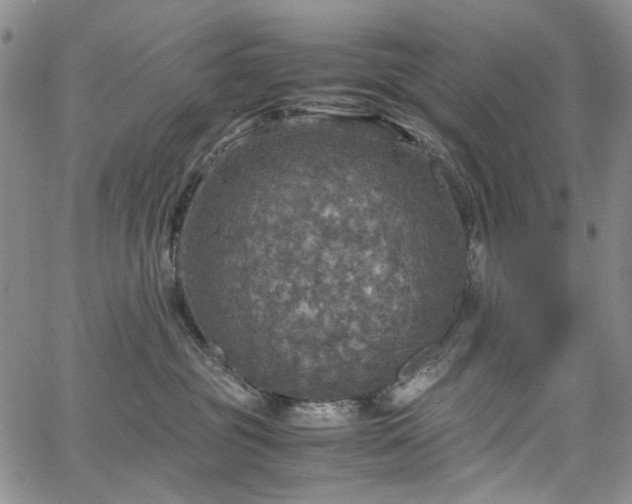 X0000067890381200604201315